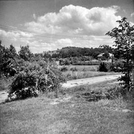 Reynolds Road in the 1950s looking towards Bell Top School